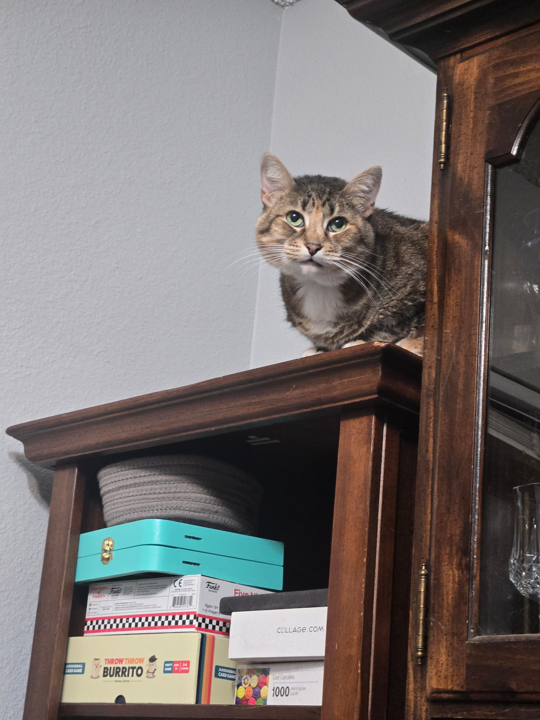 Sparkle!&10;(image being used for testing)